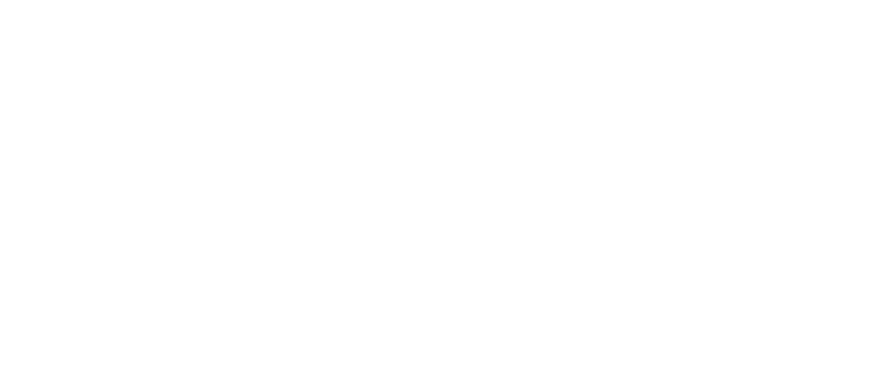 Mego Travel